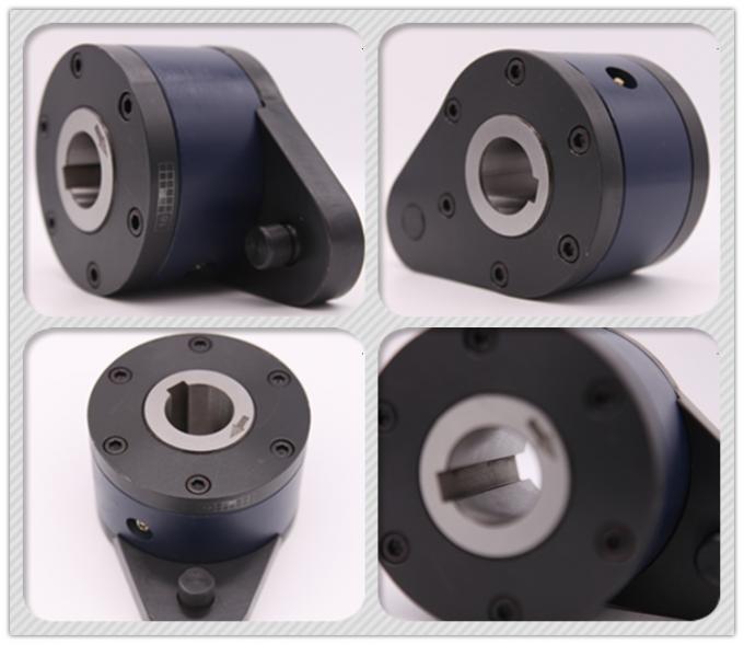 One Way 2100N.M Torsi Conveyor Belt Backstop Untuk Bucket Elevator